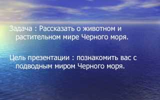 Сообщение про черное море 2 класс окружающий мир
