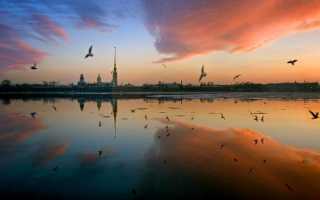 Реки бассейна атлантического океана нева