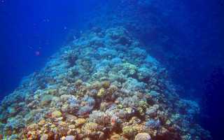 Полуостров омывающий берега красного моря