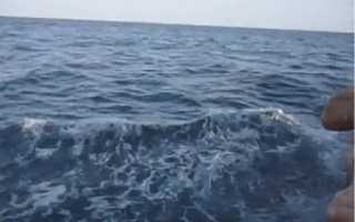 У моря у синего моря со мной мною ты рядом