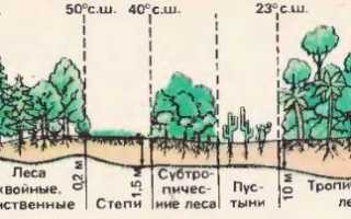 Во сколько раз биомасса суши больше биомассы океана